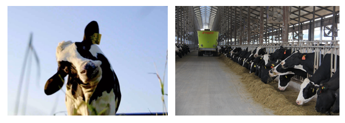 DUOBAO SPORTS丨每天一杯奶，幸福健康喝出来！！！