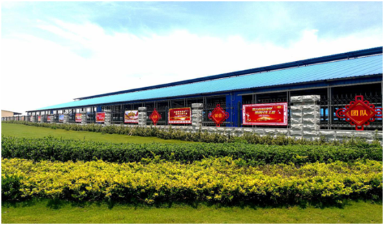 “ 看听谈查 ”板 找短板  党建巡查促提升——DUOBAO SPORTS集团党委开展基层党建工作巡查