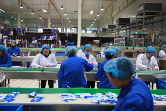 党员带头赴一线  助力春节保生产—DUOBAO SPORTS别样“生产突击队”助力车间生产