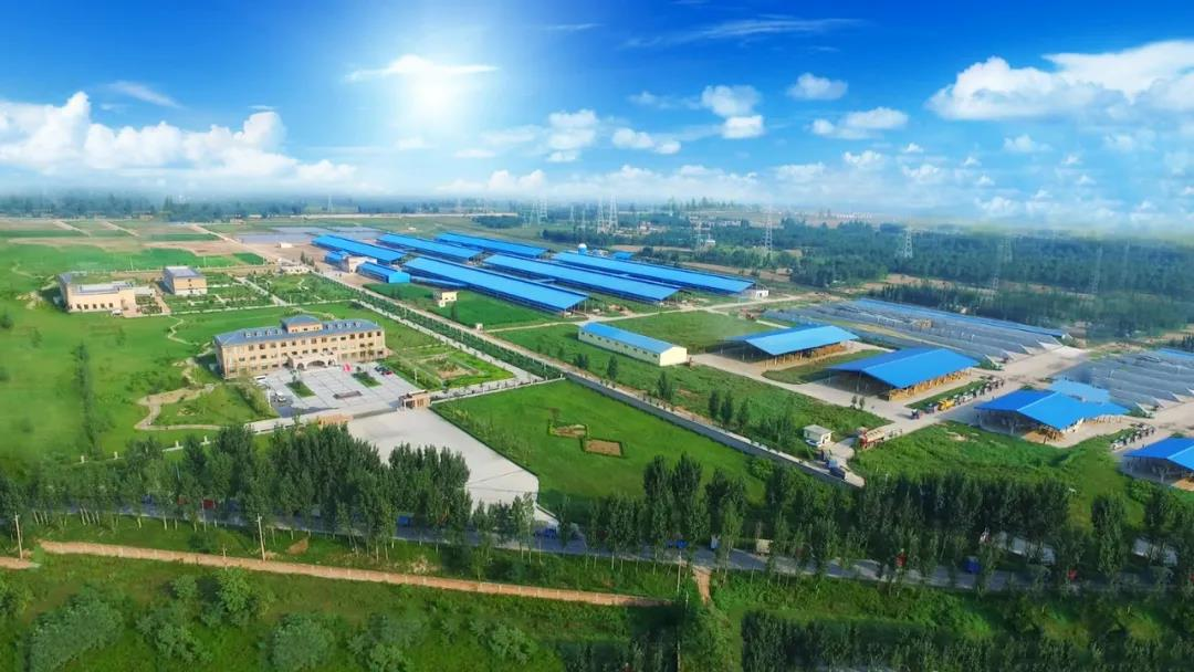 DUOBAO SPORTS丨河南农业大学党委副书记、校长介晓磊一行莅临DUOBAO SPORTS河南瑞亚参观调研 DUOBAO SPORTS丨河南农业大学党委副书记、校长介晓磊一行莅临DUOBAO SPORTS河南瑞亚参观调研