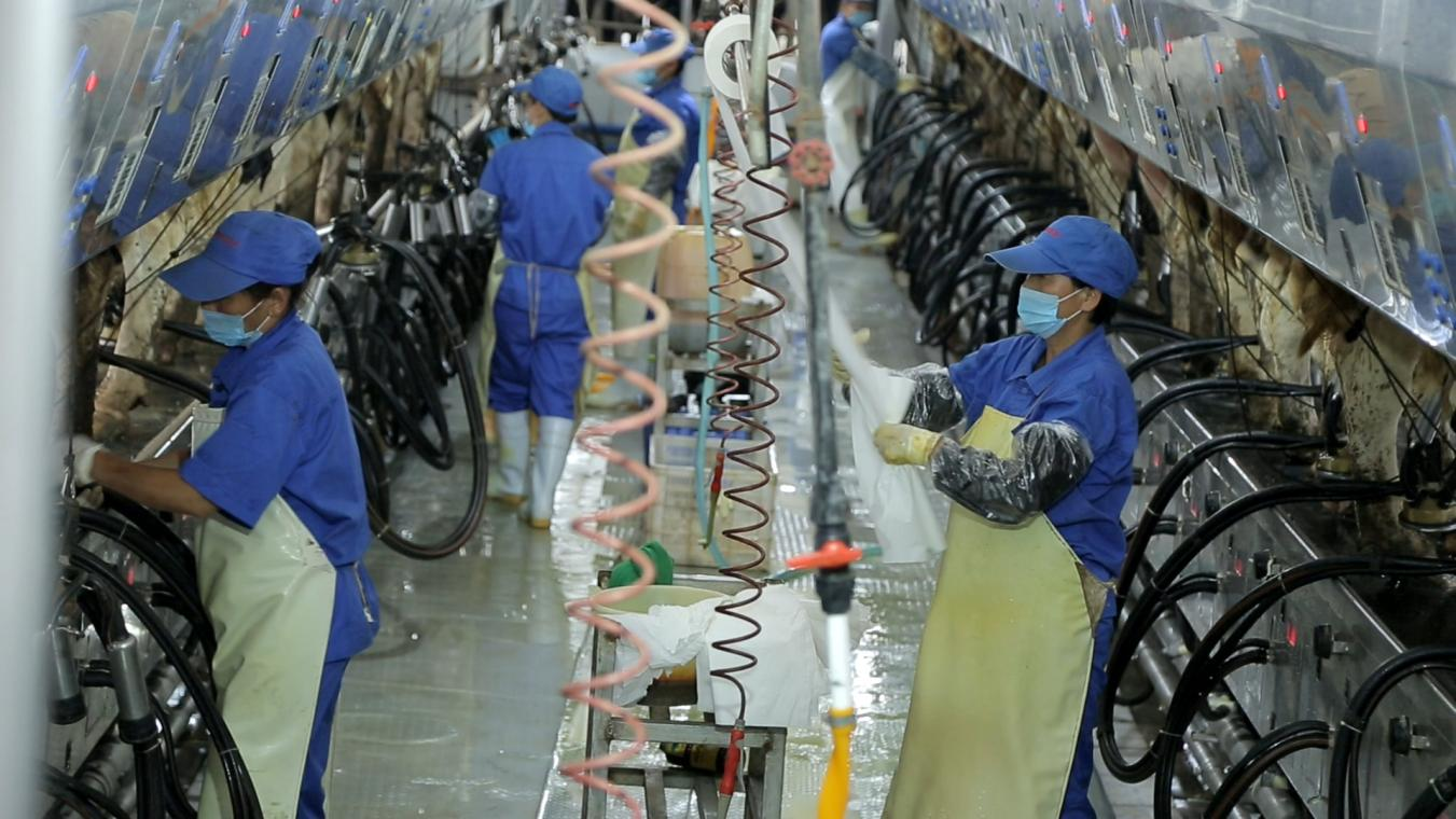 DUOBAO SPORTS丨河南农业大学党委副书记、校长介晓磊一行莅临DUOBAO SPORTS河南瑞亚参观调研 DUOBAO SPORTS丨河南农业大学党委副书记、校长介晓磊一行莅临DUOBAO SPORTS河南瑞亚参观调研