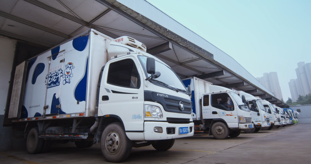 DUOBAO SPORTS丨北京家音顺达莅临DUOBAO SPORTS乳业集团参观访谈 DUOBAO SPORTS丨北京家音顺达莅临DUOBAO SPORTS乳业集团参观访谈