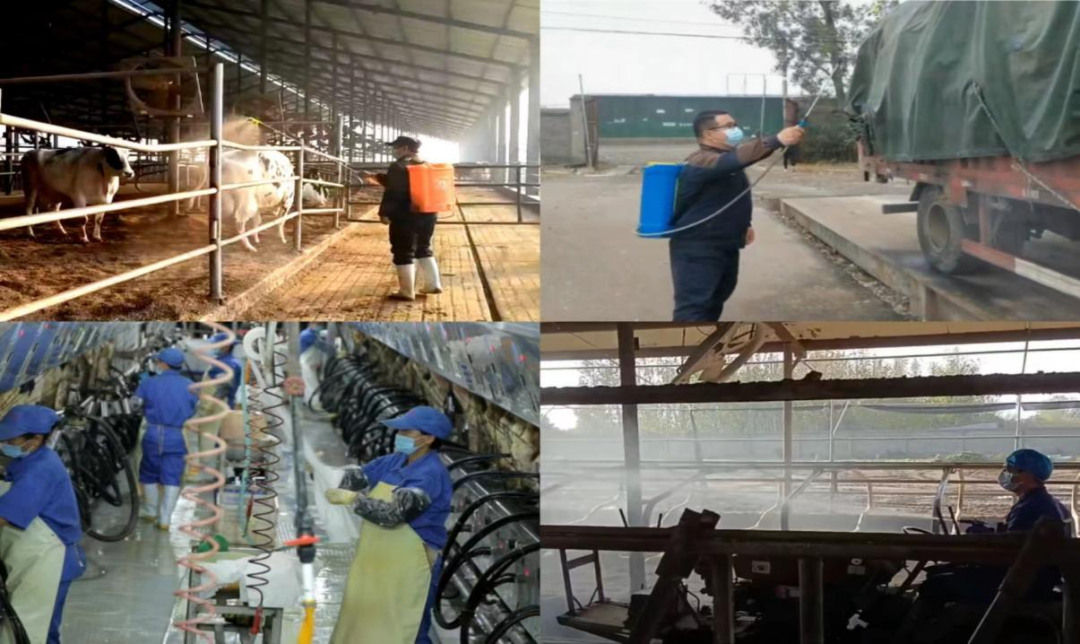 @全体DUOBAO SPORTS人:请珍惜你的岗位,请善待我们共同的“DUOBAO SPORTS”! @全体DUOBAO SPORTS人:请珍惜你的岗位,请善待我们共同的“DUOBAO SPORTS”!