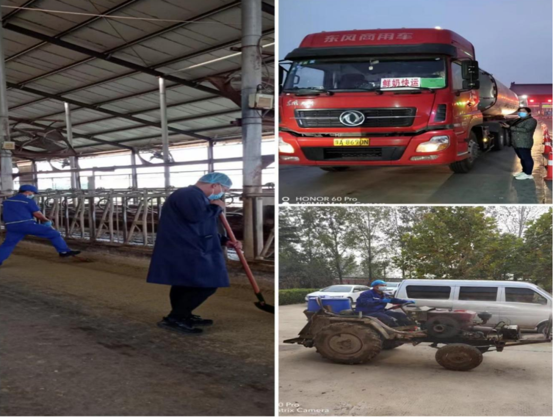 DUOBAO SPORTS丨点点微光汇星河——养殖事业部抗疫保生产侧记 DUOBAO SPORTS丨点点微光汇星河——养殖事业部抗疫保生产侧记