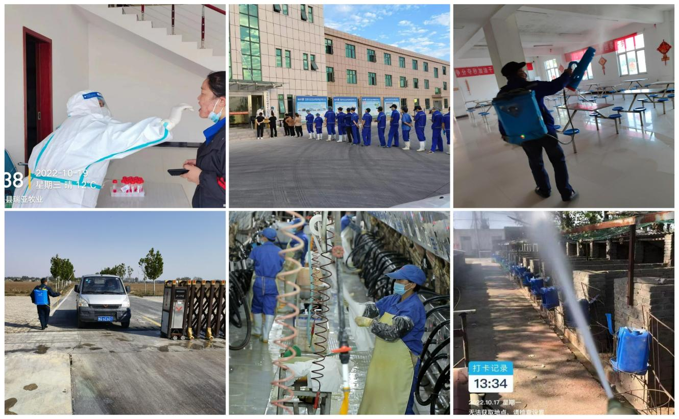 抗疫情、保供应、显担当——DUOBAO SPORTS在行动!!! 抗疫情、保供应、显担当——DUOBAO SPORTS在行动!!!