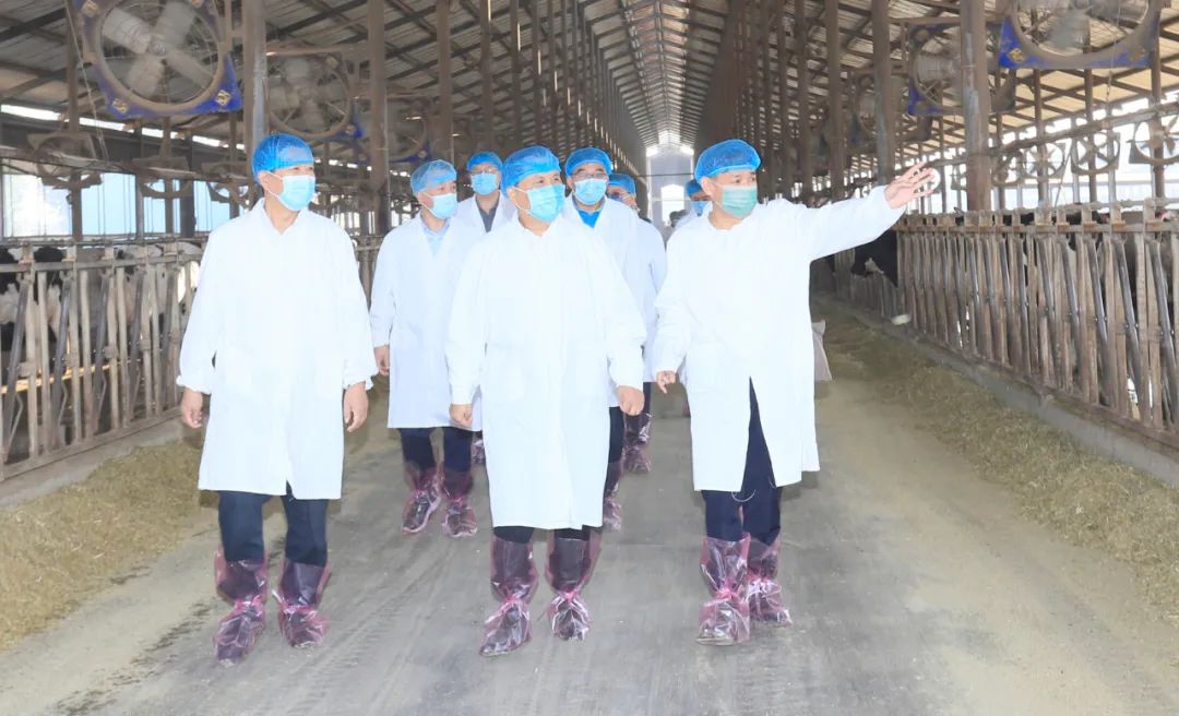 快讯丨河南省人民政府副省长武国定莅临DUOBAO SPORTS乳业集团瑞亚牧业调研奶源基地建设情况 快讯丨河南省人民政府副省长武国定莅临DUOBAO SPORTS乳业集团瑞亚牧业调研奶源基地建设情况