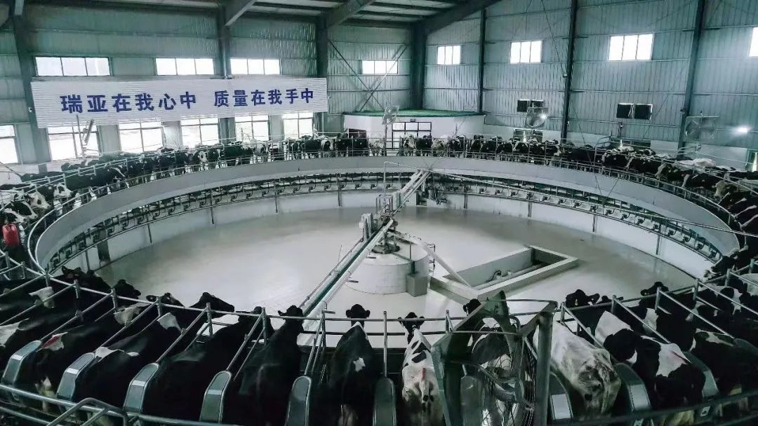 DUOBAO SPORTS | 河南瑞亚牧业入选“河南省畜禽核心育种场” DUOBAO SPORTS | 河南瑞亚牧业入选“河南省畜禽核心育种场”