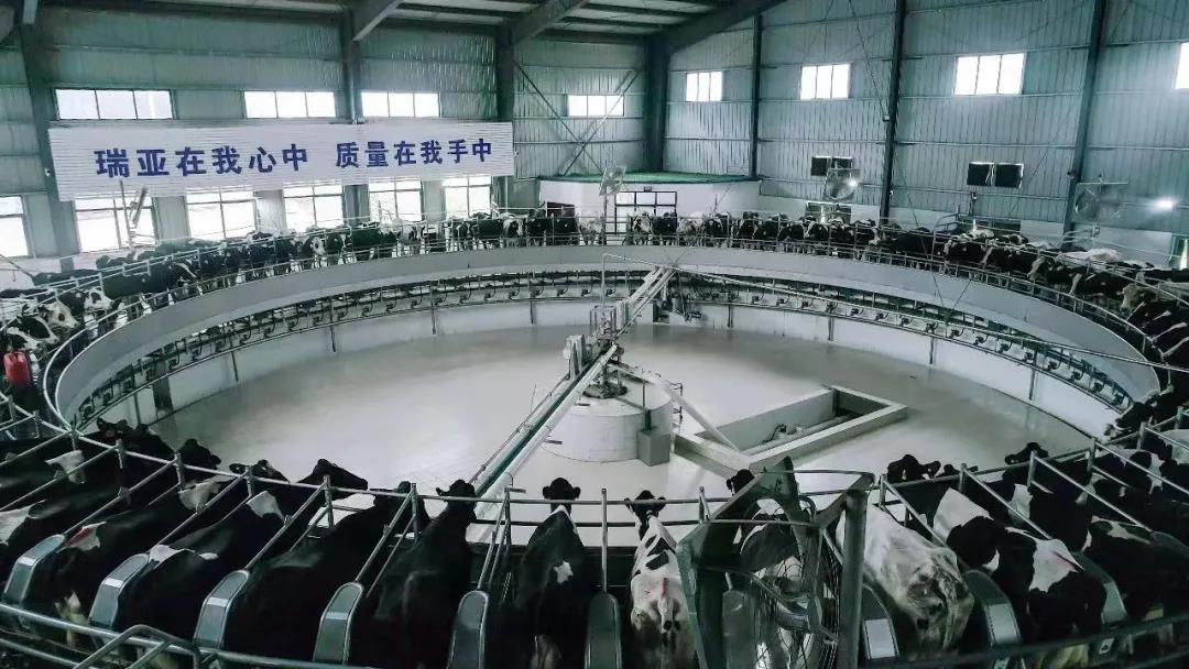 快讯 | 驻马店市委副书记、市长李跃勇一行莅临DUOBAO SPORTS乳业集团平舆瑞亚牧场调研 快讯 | 驻马店市委副书记、市长李跃勇一行莅临DUOBAO SPORTS乳业集团平舆瑞亚牧场调研