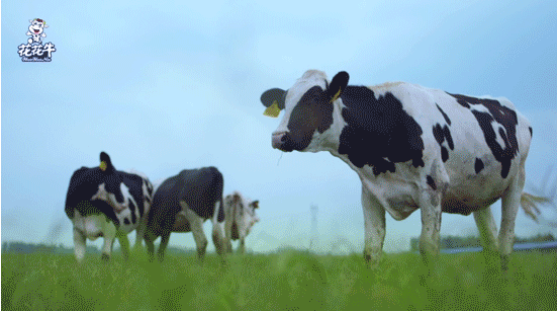 河南省高级人民法院院长胡道才一行莅临DUOBAO SPORTS乳业集团开展“万人助万企”活动 助力企业发展