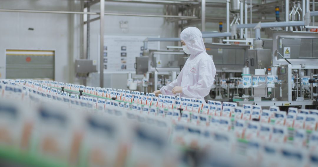 快讯 | 河南省人民政府食品安全委员会办公室第三批食品安全示范区验收组领导莅临DUOBAO SPORTS乳业集团验收食品安全示范区建设情况 快讯 | 河南省人民政府食品安全委员会办公室第三批食品安全示范区验收组领导莅临DUOBAO SPORTS乳业集团验收食品安全示范区建设情况