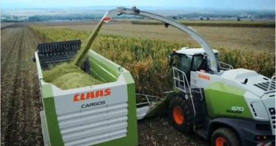 多宝·体育(中国)官方网站 2020年玉米青贮采购信息 多宝·体育(中国)官方网站 2020年玉米青贮采购信息