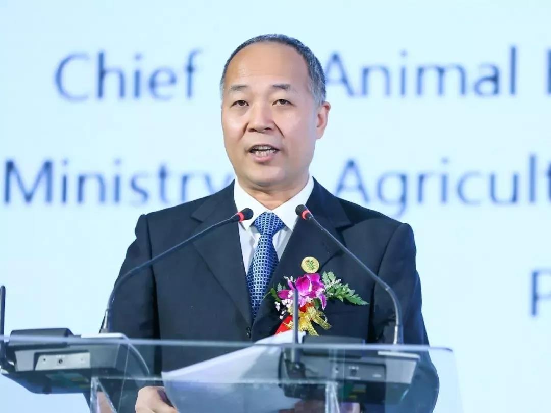 SDDDC走进河南,看看DUOBAO SPORTS的国际范儿! SDDDC走进河南,看看DUOBAO SPORTS的国际范儿!