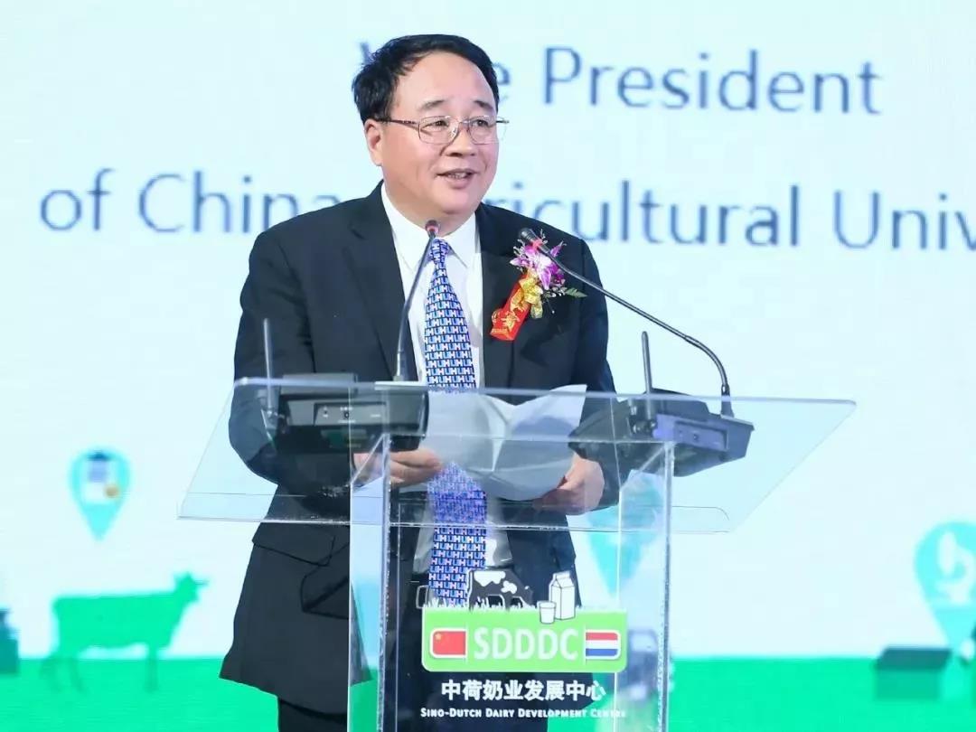 SDDDC走进河南,看看DUOBAO SPORTS的国际范儿! SDDDC走进河南,看看DUOBAO SPORTS的国际范儿!