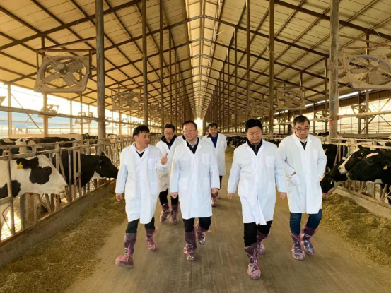 宁夏回族自治区农业农村厅党组书记、厅长王刚一行莅临DUOBAO SPORTS乳业集团调研 宁夏回族自治区农业农村厅党组书记、厅长王刚一行莅临DUOBAO SPORTS乳业集团调研