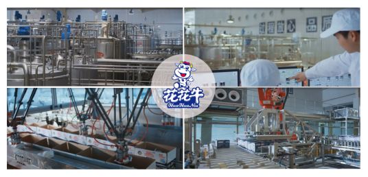 荣获全国“质量月”五项大奖,DUOBAO SPORTS真牛! 荣获全国“质量月”五项大奖,DUOBAO SPORTS真牛!