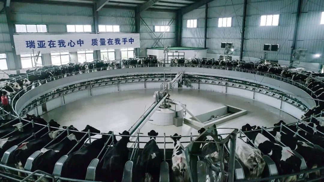 省委书记王国生到河南DUOBAO SPORTS乳业集团·新蔡瑞亚牧业有限公司调研 省委书记王国生到河南DUOBAO SPORTS乳业集团·新蔡瑞亚牧业有限公司调研