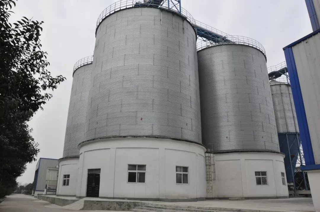 第31届中原畜牧业交易博览会 || DUOBAO SPORTS乳业集团获“河南省畜牧行业——最具影响力品牌”奖 第31届中原畜牧业交易博览会 || DUOBAO SPORTS乳业集团获“河南省畜牧行业——最具影响力品牌”奖