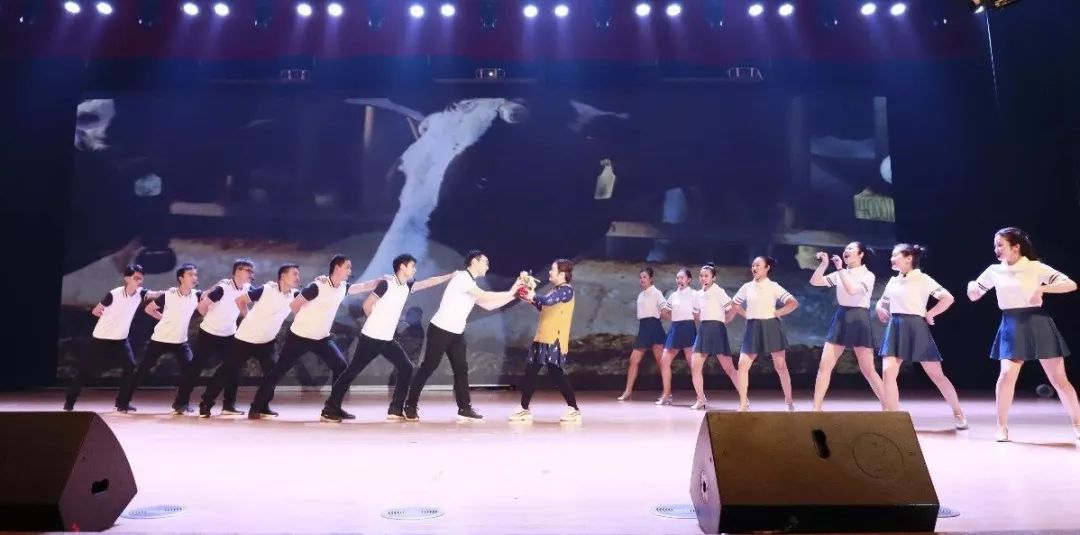 “赢在2019”,DUOBAO SPORTS乳业集团2019年新春晚会盛大开幕 “赢在2019”,DUOBAO SPORTS乳业集团2019年新春晚会盛大开幕