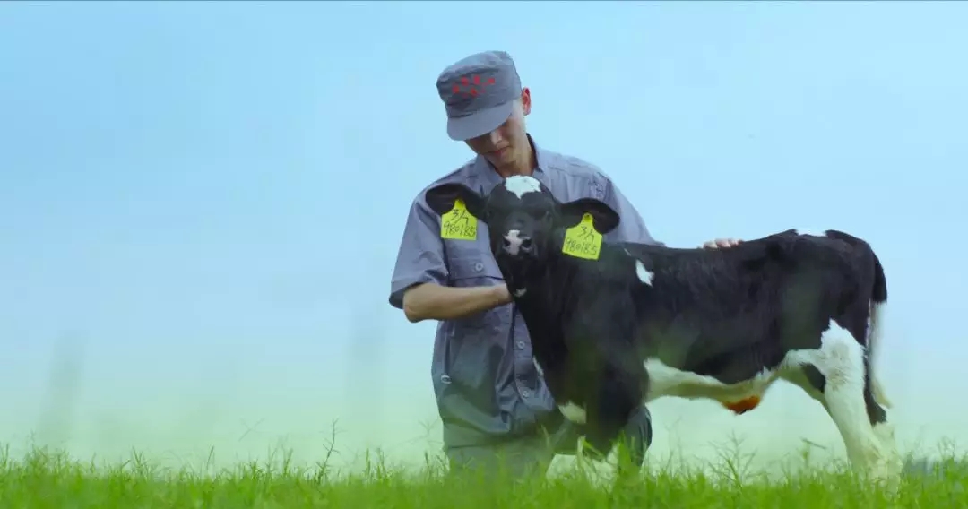 喜报 | 国家市场监管总局抽检,DUOBAO SPORTS等112家企业乳品抽检全部合格 喜报 | 国家市场监管总局抽检,DUOBAO SPORTS等112家企业乳品抽检全部合格