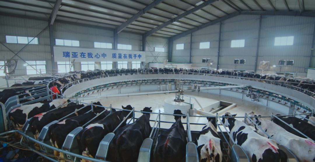 DUOBAO SPORTS集团旗下六家公司入选省农业产业化重点龙头企业名单 DUOBAO SPORTS集团旗下六家公司入选省农业产业化重点龙头企业名单