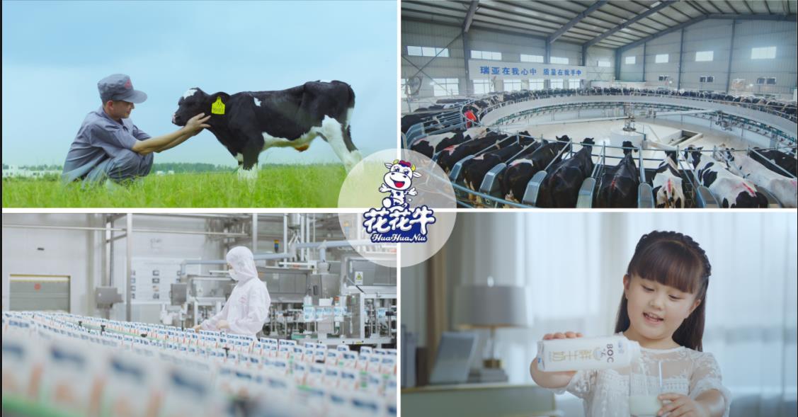 DUOBAO SPORTS乳业集团——优秀非公有制行业领军型企业 DUOBAO SPORTS乳业集团——优秀非公有制行业领军型企业