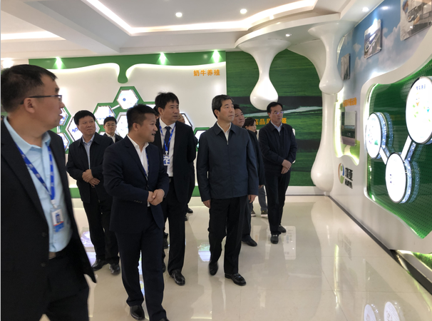河南省委副书记、省长陈润儿一行莅临 DUOBAO SPORTS集团鲁山瑞亚牧业有限公司视察调研 河南省委副书记、省长陈润儿一行莅临 DUOBAO SPORTS集团鲁山瑞亚牧业有限公司视察调研