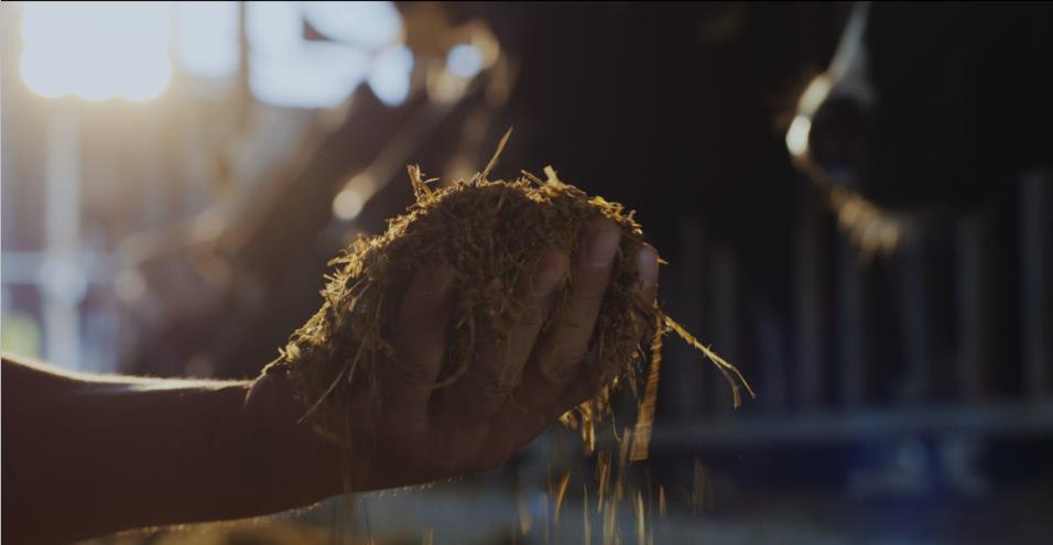 又双叒叕获奖啦!DUOBAO SPORTS荣获“乳品质量安全管理 优秀企业” 又双叒叕获奖啦!DUOBAO SPORTS荣获“乳品质量安全管理 优秀企业”