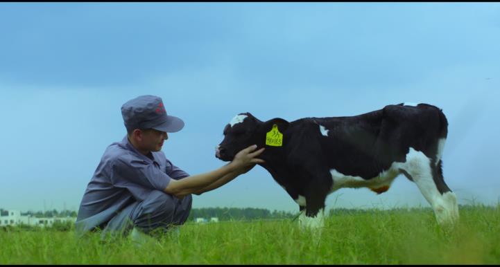 又双叒叕获奖啦!DUOBAO SPORTS荣获“乳品质量安全管理 优秀企业” 又双叒叕获奖啦!DUOBAO SPORTS荣获“乳品质量安全管理 优秀企业”