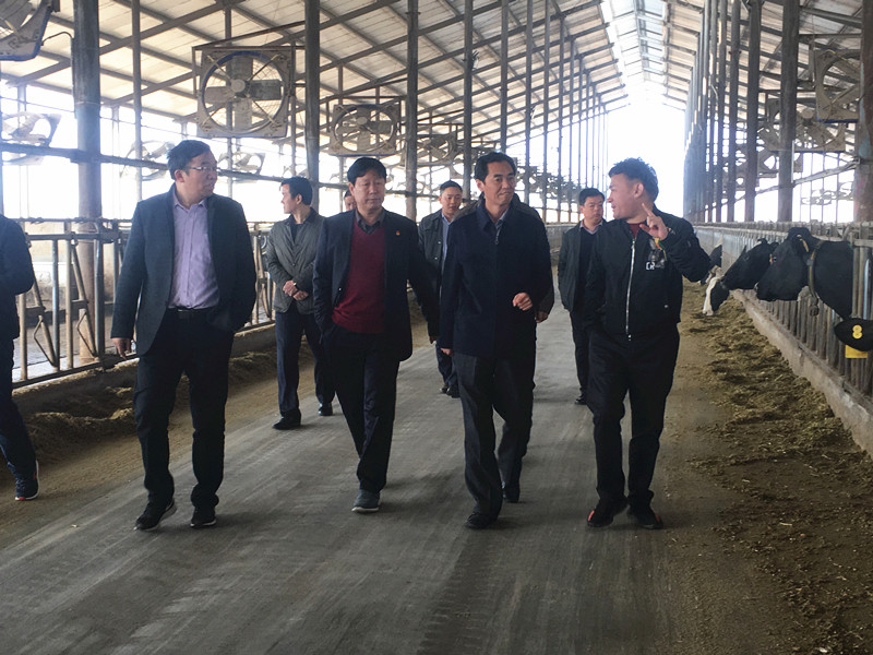 封丘县县长王献臣一行莅临 DUOBAO SPORTS集团养殖、乳品事业部参观调研 封丘县县长王献臣一行莅临 DUOBAO SPORTS集团养殖、乳品事业部参观调研