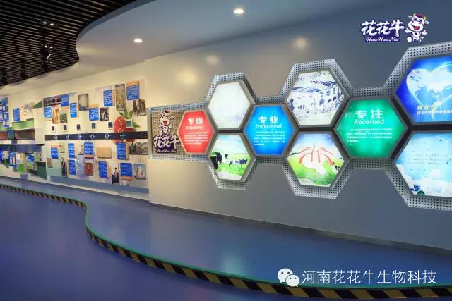 DUOBAO SPORTS:务实、创新领潮市场 大企业体现大担当 DUOBAO SPORTS:务实、创新领潮市场 大企业体现大担当