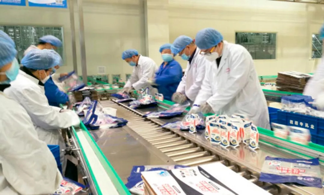 快讯丨河南省副省长武国定莅临DUOBAO SPORTS乳业集团调研重点保障企业复工复产情况 快讯丨河南省副省长武国定莅临DUOBAO SPORTS乳业集团调研重点保障企业复工复产情况