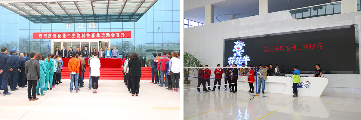 河南DUOBAO SPORTS生物科技有限公司举办2016年春季运动会