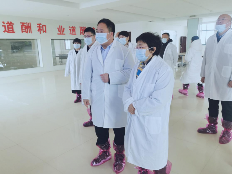 河南省郑州市人民政府副市长李凤芝一行莅临DUOBAO SPORTS河南瑞亚参观调研