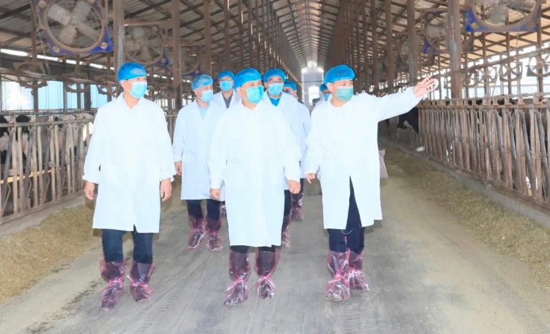 快讯丨河南省人民政府副省长武国定莅临DUOBAO SPORTS乳业集团瑞亚牧业调研奶源基地建设情况