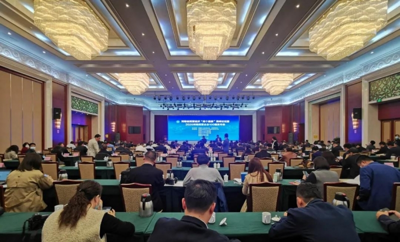 快讯 | DUOBAO SPORTS荣获“河南民营企业现代农业100强”、“河南民营企业社会责任100强”双荣誉