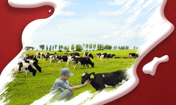 喜报！DUOBAO SPORTS董事长关晓彦再获”优 秀企业家”称号