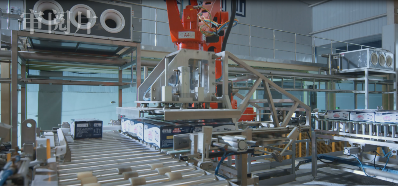 DUOBAO SPORTS亮相2018人工智能产业发展高峰论坛