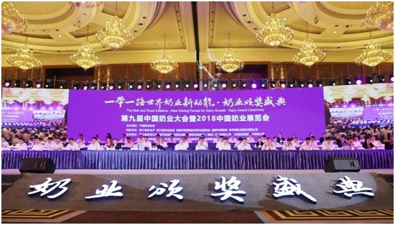 殊荣是奋斗的动力 DUOBAO SPORTS荣获三项大奖!!!